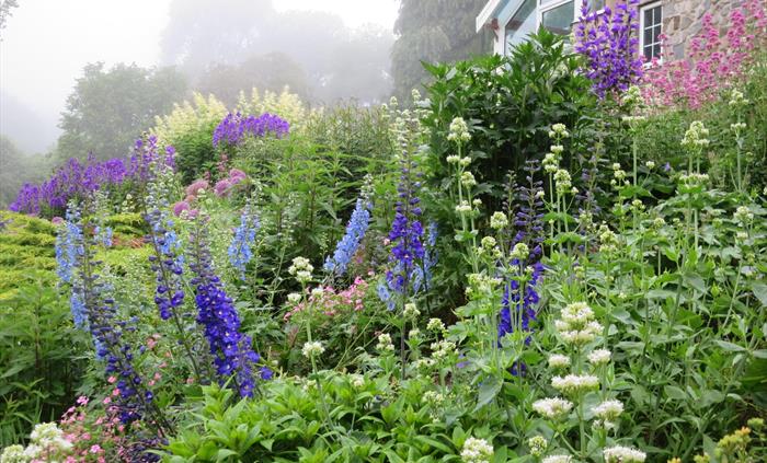 Blue and White Border